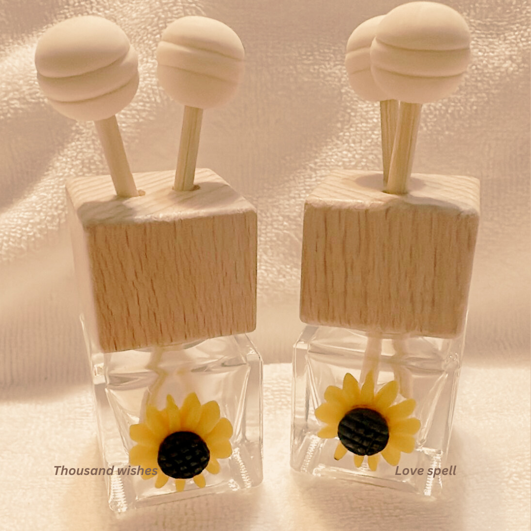 Car Diffuser Bundle (Set of 4) Travel Fresh and Fragrant