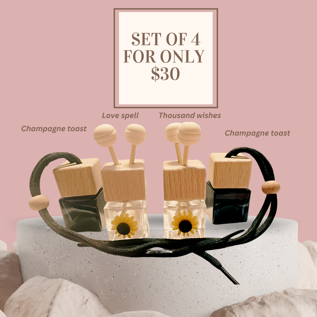 Car Diffuser Bundle (Set of 4) Travel Fresh and Fragrant