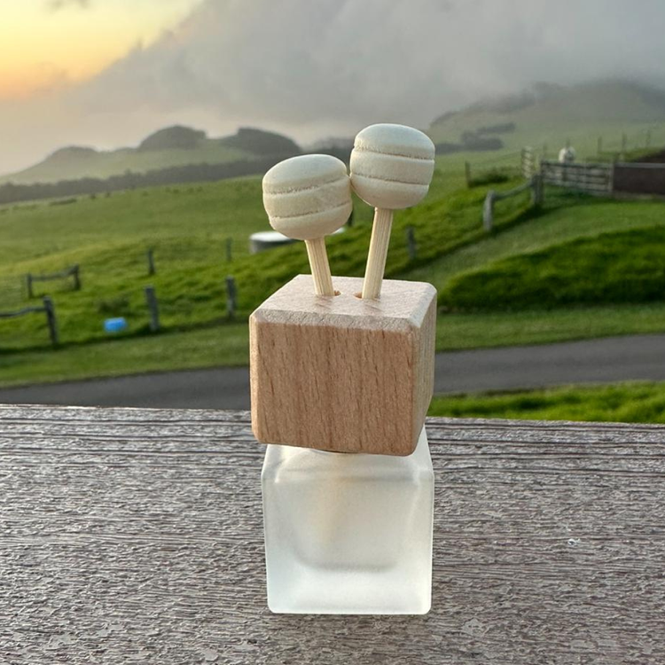 Fiji Splash Limited Edition Car Freshener