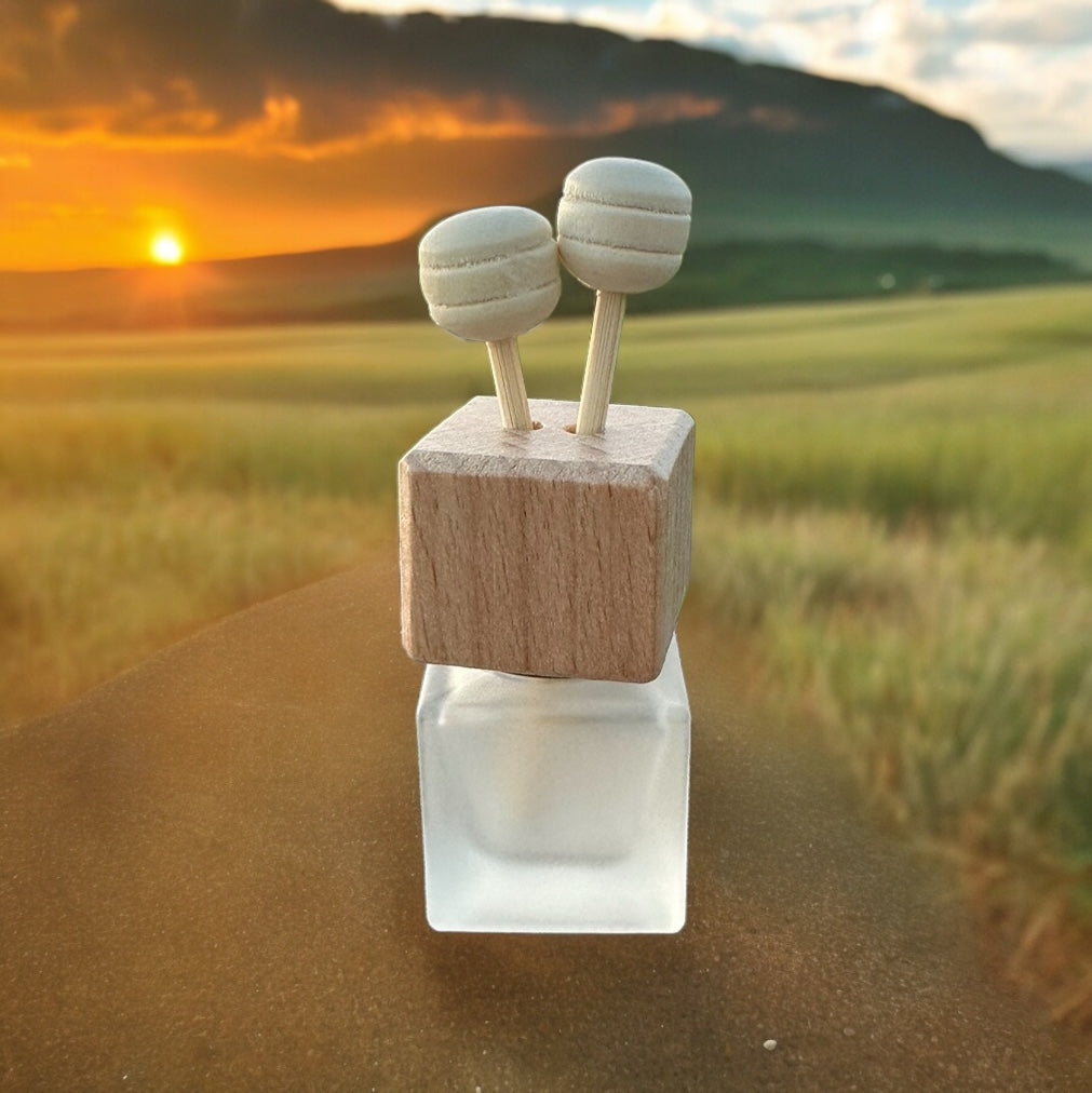 Car Hanging Diffuser Car scent