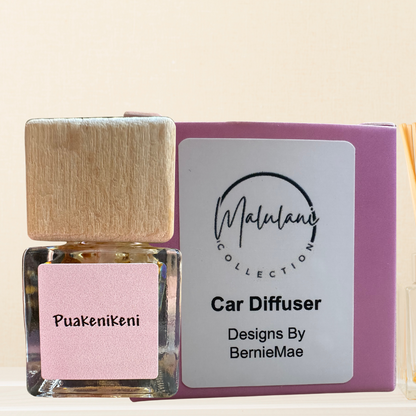 Car diffuser with Dry Flowers in Scented Oil