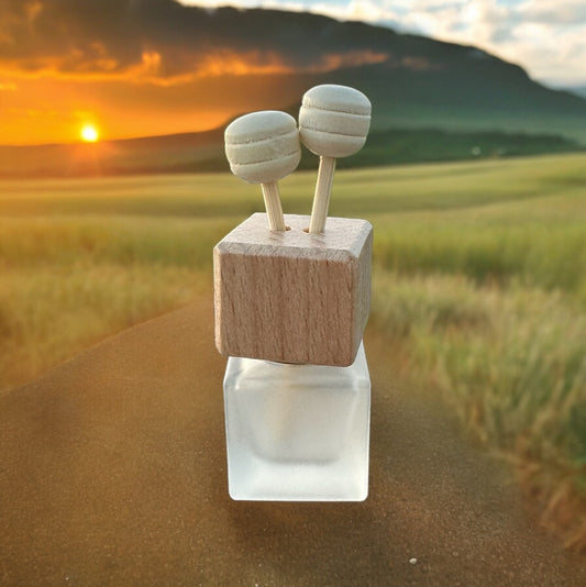Car Diffusers